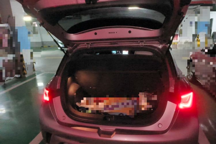 Used BYD Dolphin 2021 405 km Fashion Edition Trunk