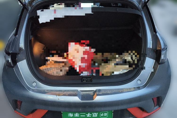 Used BYD Dolphin 2021 405 km Fashion Edition Trunk