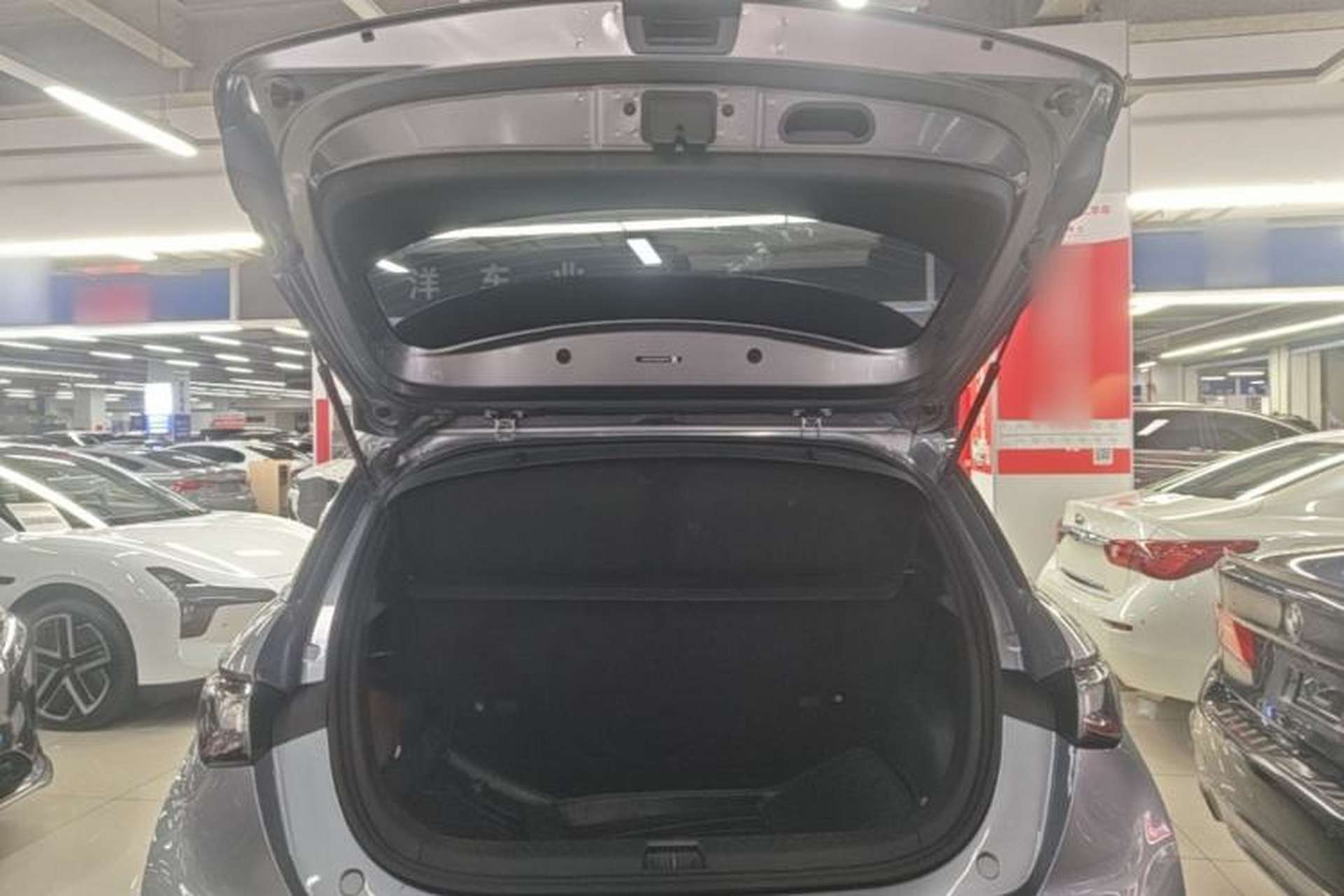 Used BYD Dolphin 2021 405 km Fashion Edition Trunk