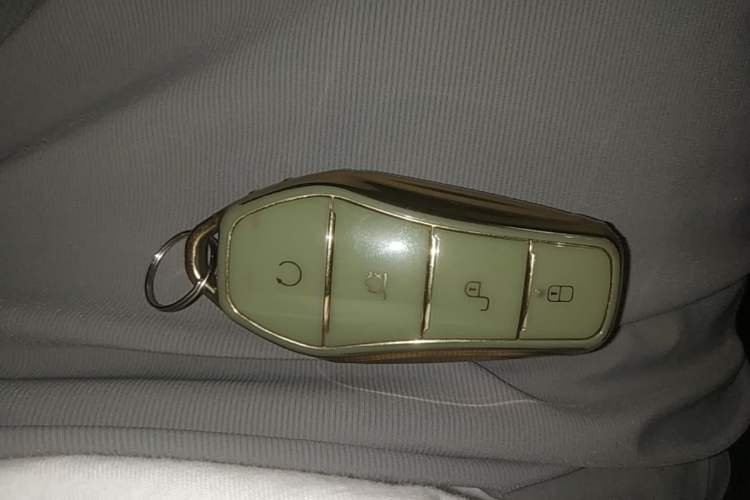 Used BYD Dolphin 2021 405 km Free Version Vehicle Key
