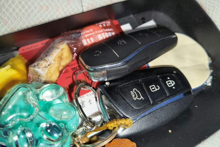 Used BYD Dolphin 2021 405 km Fashion Edition Vehicle Key