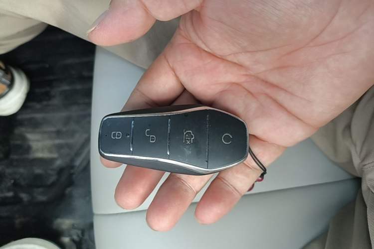 Used BYD Dolphin 2021 405 km Fashion Edition Vehicle Key