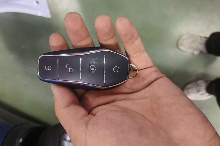 Used BYD Dolphin 2021 405 km Fashion Edition Vehicle Key