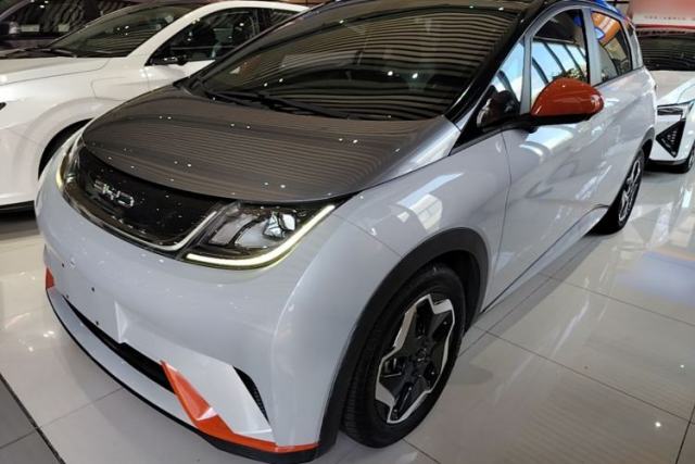 BYD Dolphin 2021 405 km Fashion Edition usado