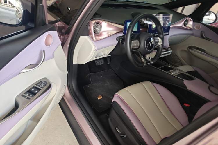 Used BYD Dolphin 2021 405 km Fashion Edition Driver Seat