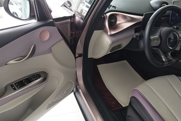 Used BYD Dolphin 2021 405 km Fashion Edition Driver Seat
