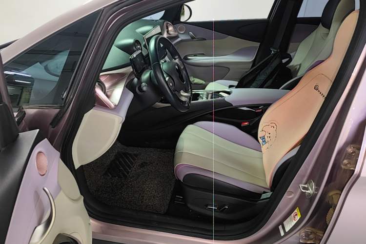 Used BYD Dolphin 2021 405 km Fashion Edition Driver Seat