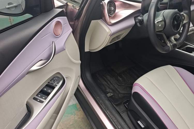 Used BYD Dolphin 2021 405 km Fashion Edition Driver Seat