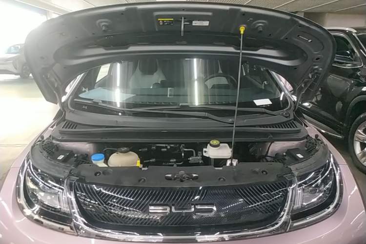 Used BYD Dolphin 2021 405 km Fashion Edition Engine Bay