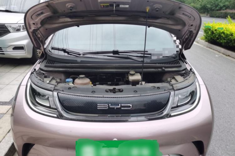 Used BYD Dolphin 2021 405 km Fashion Edition Engine Bay