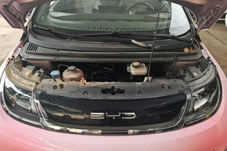Used BYD Dolphin 2021 405 km Fashion Edition Engine Bay