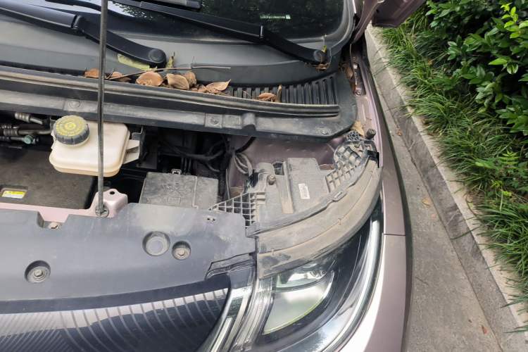 Used BYD Dolphin 2021 405 km Free Version Engine Bay Left