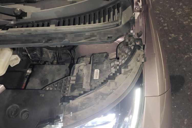 Used BYD Dolphin 2021 405 km Fashion Edition Engine Bay Left