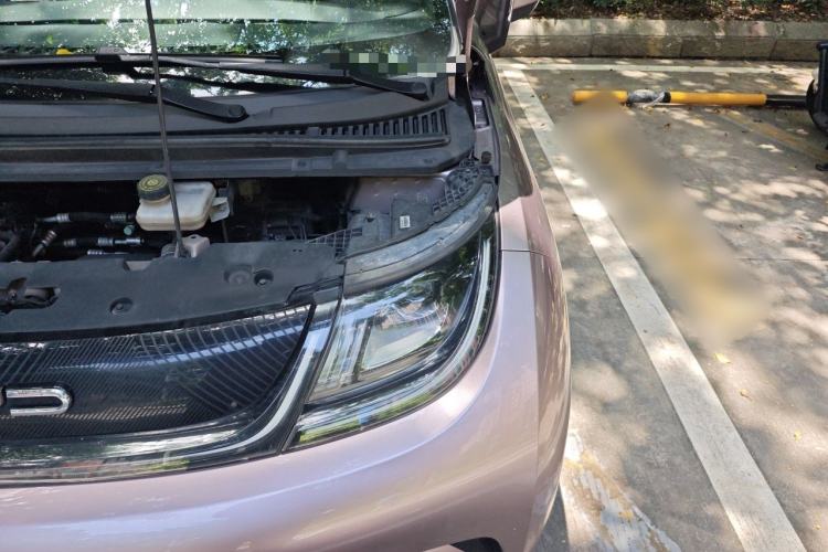 Used BYD Dolphin 2021 405 km Fashion Edition Engine Bay Left