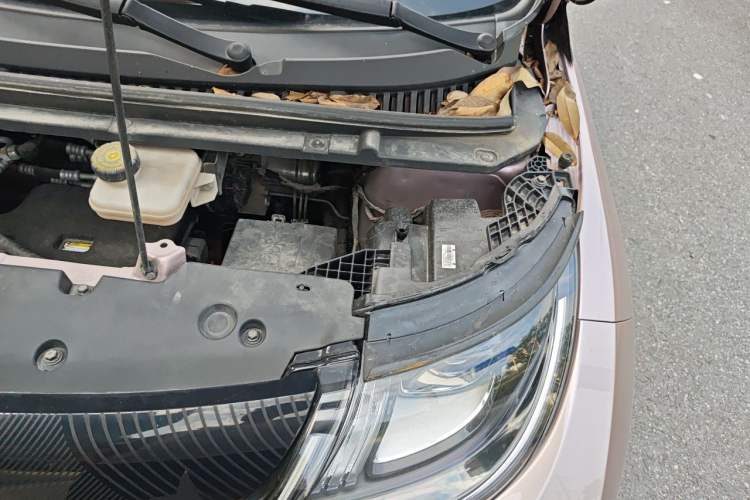 Used BYD Dolphin 2021 405 km Fashion Edition Engine Bay Left