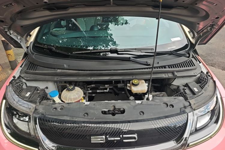Used BYD Dolphin 2021 405 km Free Version Engine Bay