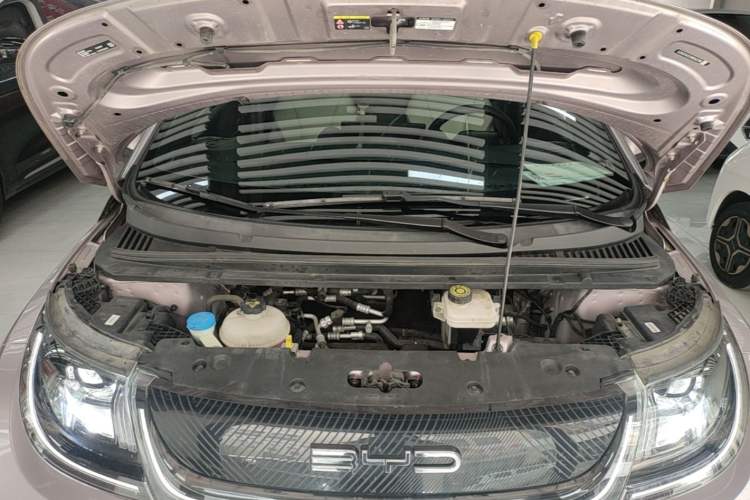 Used BYD Dolphin 2021 405 km Free Version Engine Bay