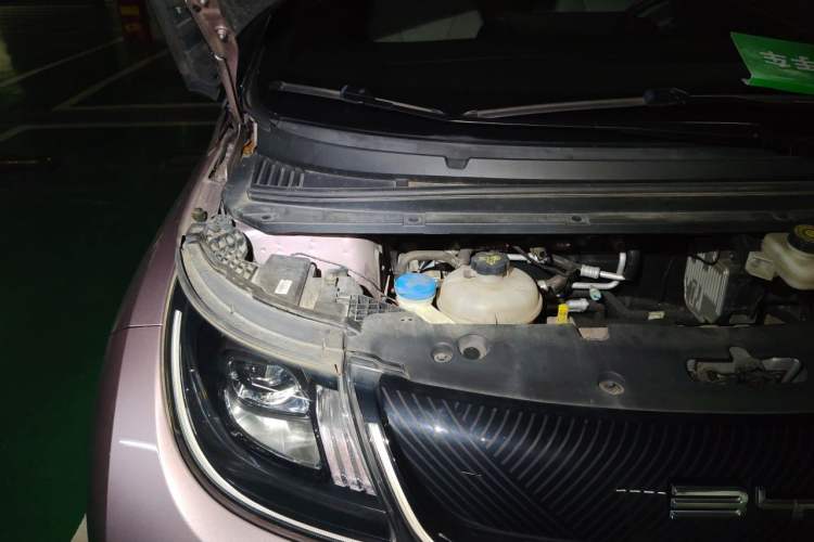 Used BYD Dolphin 2021 401km Knight Edition Engine Bay Right