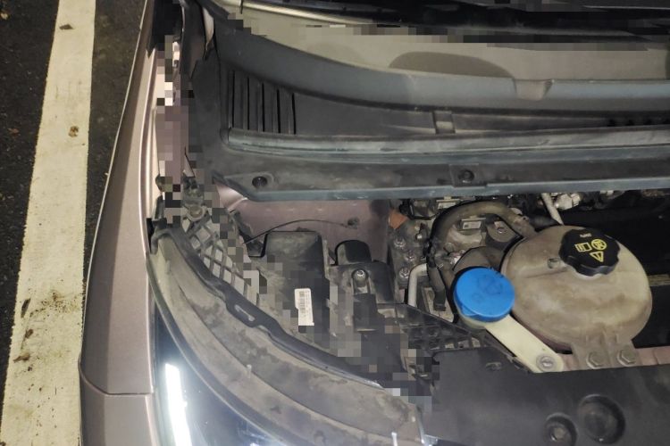 Used BYD Dolphin 2021 405 km Fashion Edition Engine Bay Right