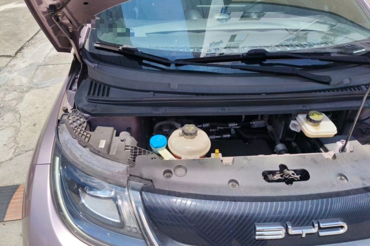 Used BYD Dolphin 2021 405 km Fashion Edition Engine Bay Right