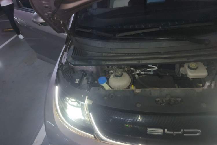 Used BYD Dolphin 2021 405 km Free Version Engine Bay Right