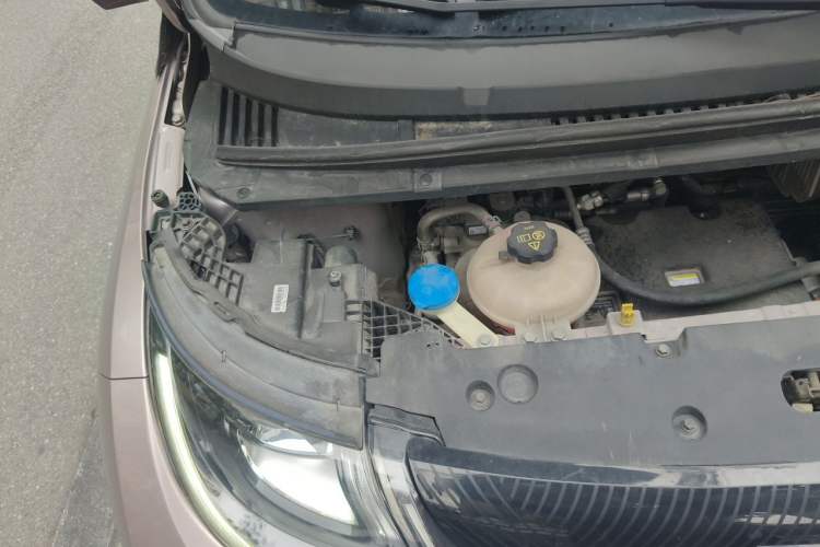 Used BYD Dolphin 2021 405 km Fashion Edition Engine Bay Right