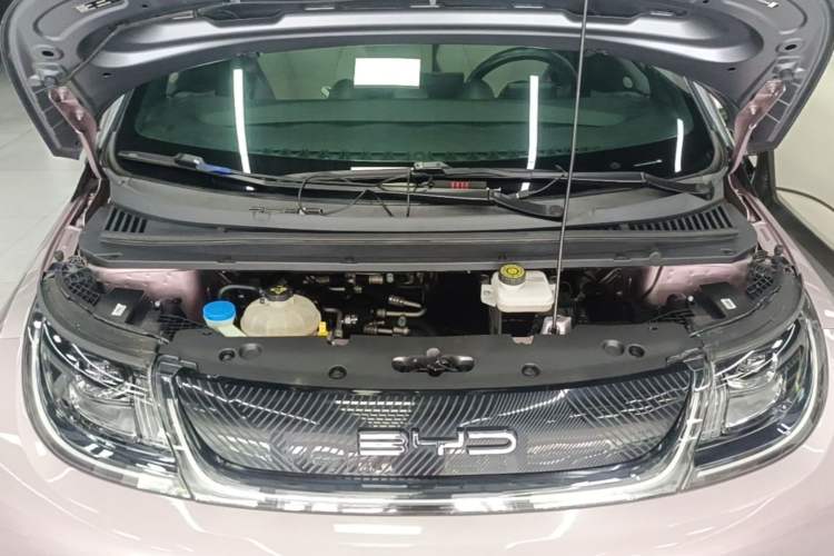 Used BYD Dolphin 2021 401km Knight Edition Engine Bay
