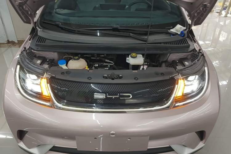 Used BYD Dolphin 2021 405 km Free Version Engine Bay
