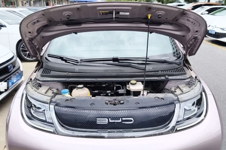 Used BYD Dolphin 2021 405 km Fashion Edition Engine Bay