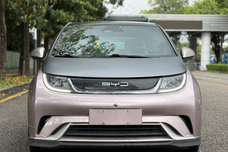 Used BYD Dolphin 2021 401km Knight Edition Exterior 1