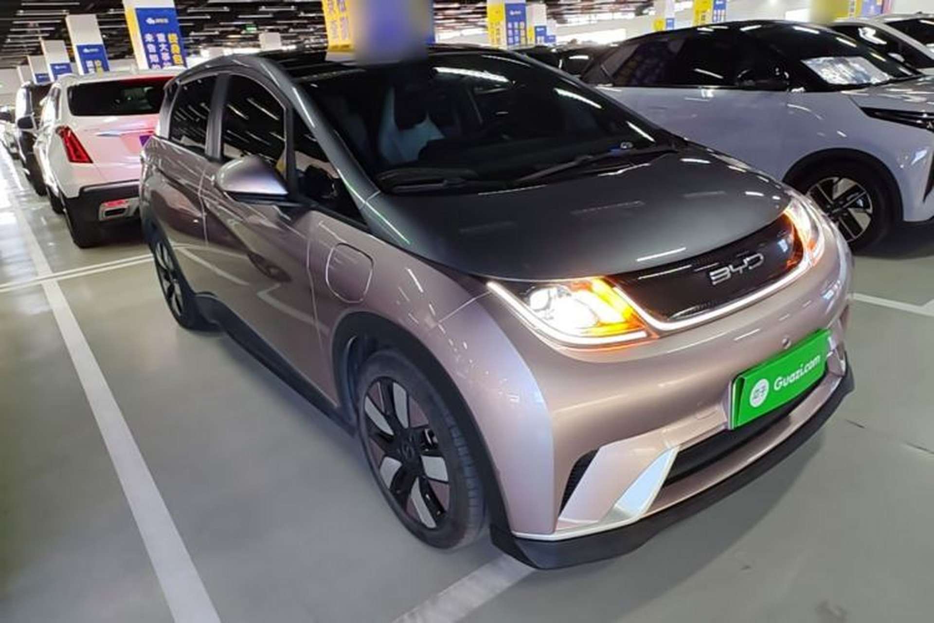 Used BYD Dolphin 2021 401km Knight Edition Exterior 1