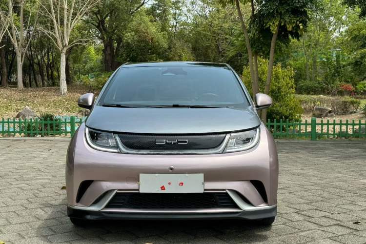 Used BYD Dolphin 2021 401km Knight Edition Exterior 1