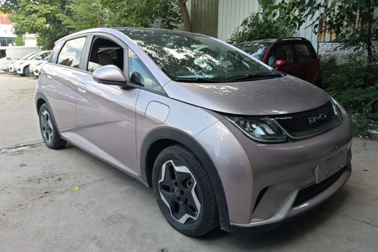 Used BYD Dolphin 2021 405 km Fashion Edition Exterior 1