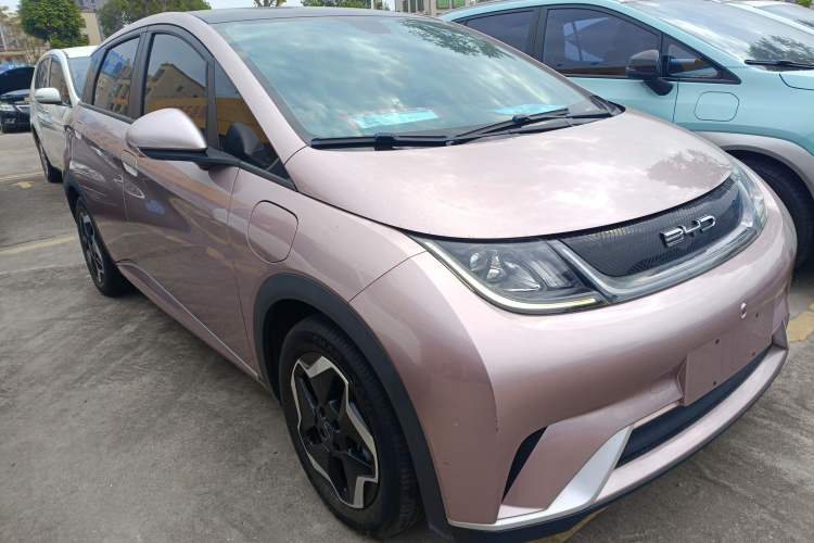 Used BYD Dolphin 2021 405 km Fashion Edition Exterior 1