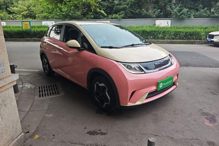 Used BYD Dolphin 2021 405 km Free Version Exterior 1