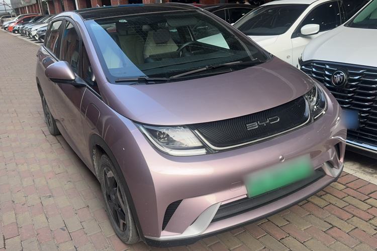 Used BYD Dolphin 2021 405 km Fashion Edition Exterior 1
