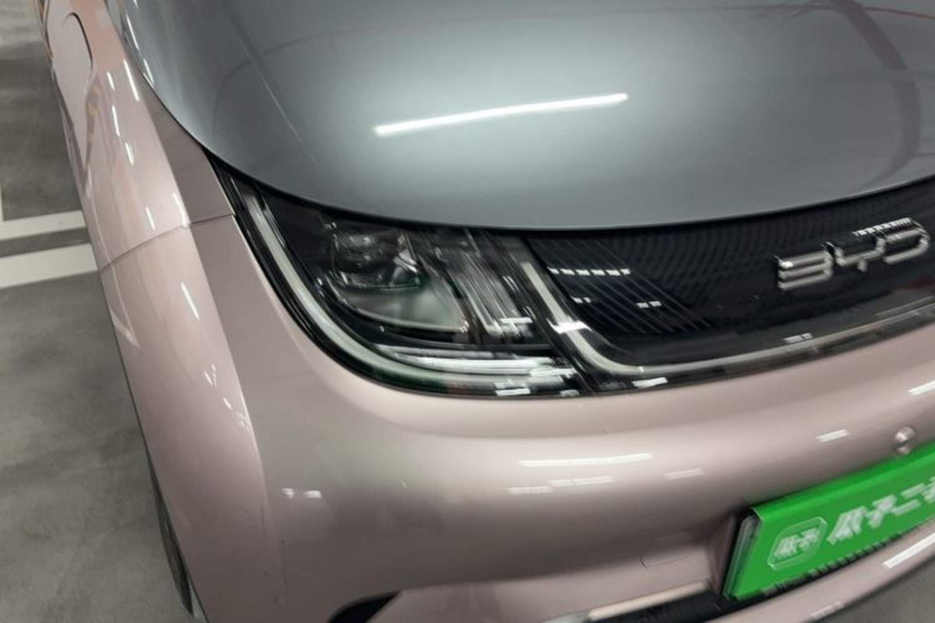 Used BYD Dolphin 2021 405 km Fashion Edition Exterior 1