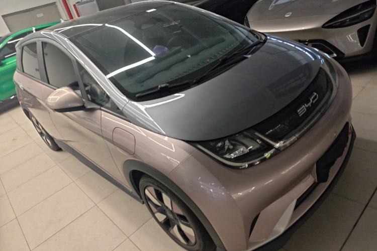 Used BYD Dolphin 2021 401km Knight Edition Exterior 1