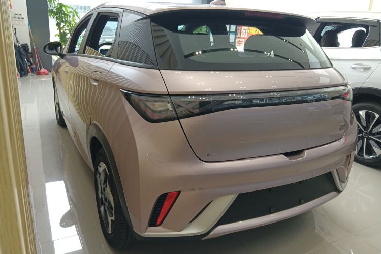 Used BYD Dolphin 2021 405 km Fashion Edition Exterior 2
