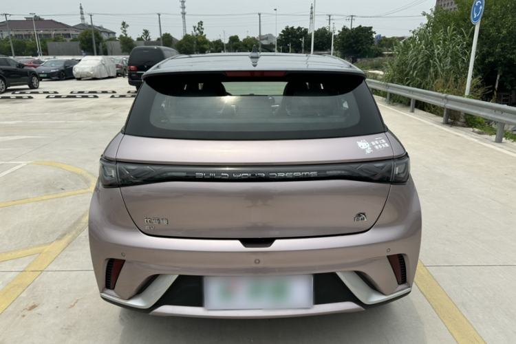 Used BYD Dolphin 2021 405 km Fashion Edition Exterior 2