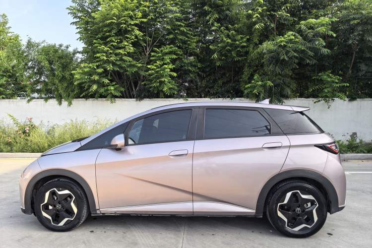 Used BYD Dolphin 2021 405 km Fashion Edition Exterior 2