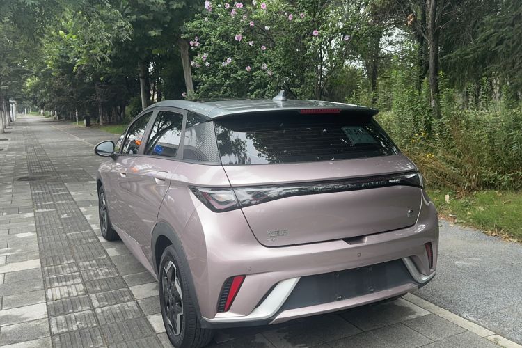 Used BYD Dolphin 2021 405 km Fashion Edition Exterior 2