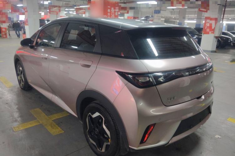 Used BYD Dolphin 2021 405 km Fashion Edition Exterior 2