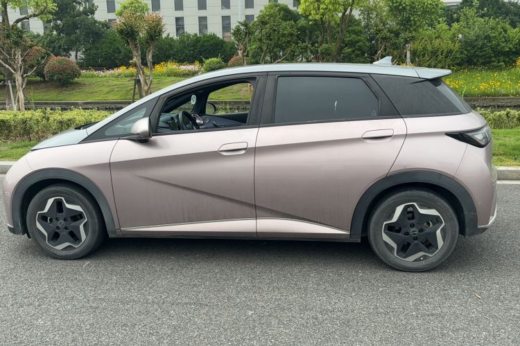 Used BYD Dolphin 2021 405 km Fashion Edition Exterior 2