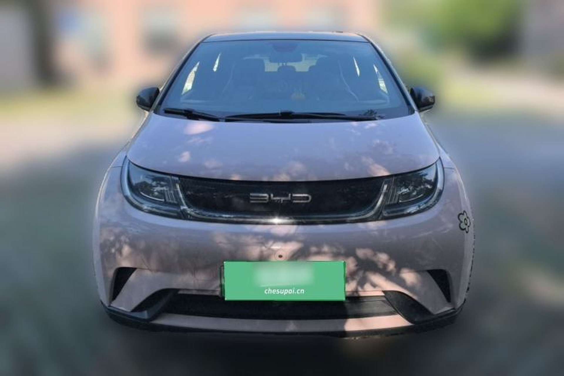 Used BYD Dolphin 2021 405 km Fashion Edition Exterior 2