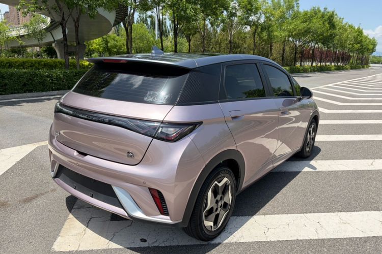 Used BYD Dolphin 2021 405 km Fashion Edition Exterior 2