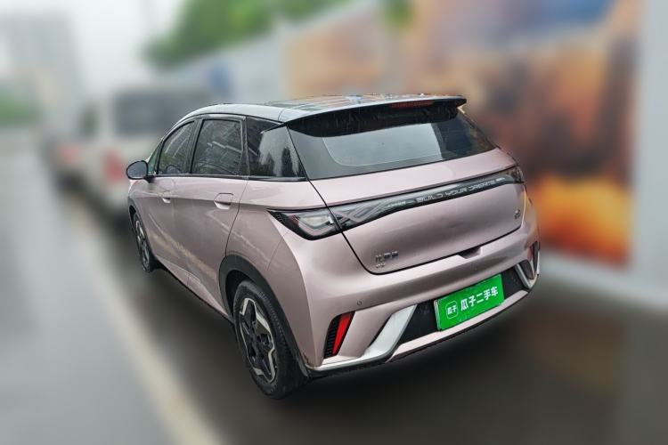 Used BYD Dolphin 2021 405 km Fashion Edition Exterior 2