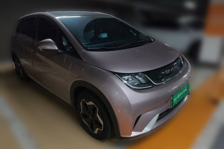 Used BYD Dolphin 2021 405 km Fashion Edition Exterior 2