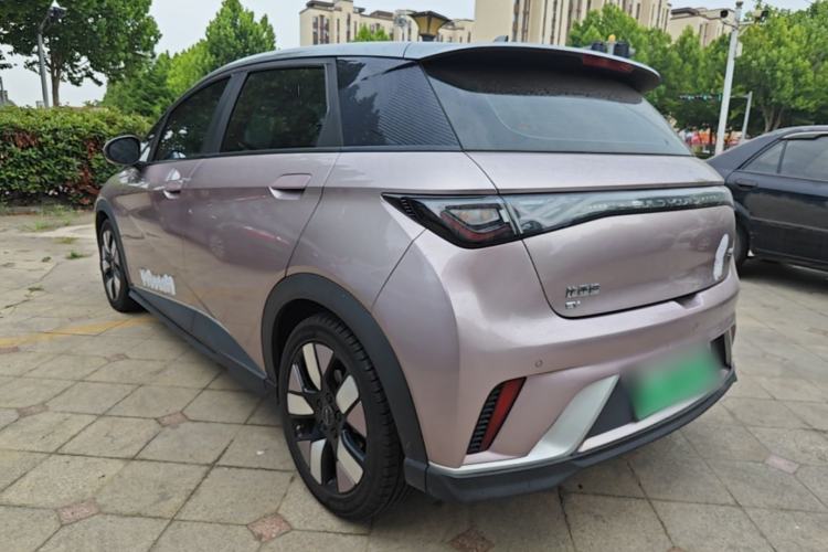 Used BYD Dolphin 2021 401km Knight Edition Exterior 2
