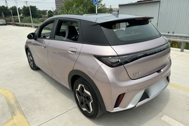 Used BYD Dolphin 2021 405 km Fashion Edition Exterior 3